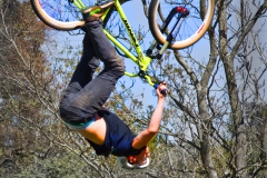Upside-down-1436-1