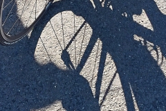 cyclist-shadow-Copy