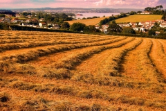 View over the Exe