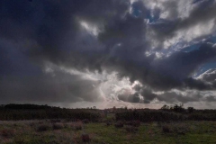 Sky over Stearts Nature Reserve